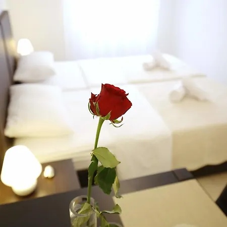 Apartment Sites Of Zadar